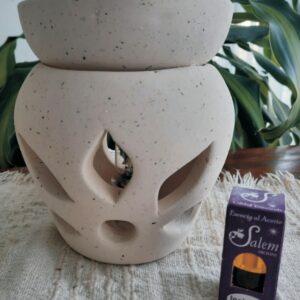 Hornito eléctrico mediano